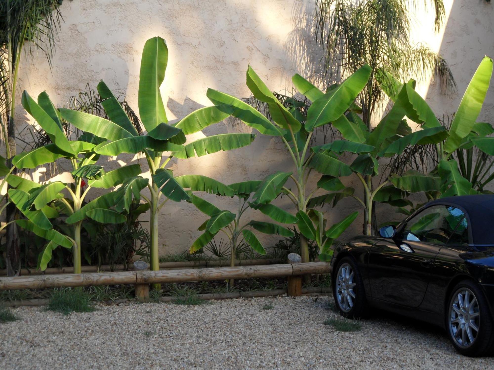 קאן Residence Veles Plage מראה חיצוני תמונה